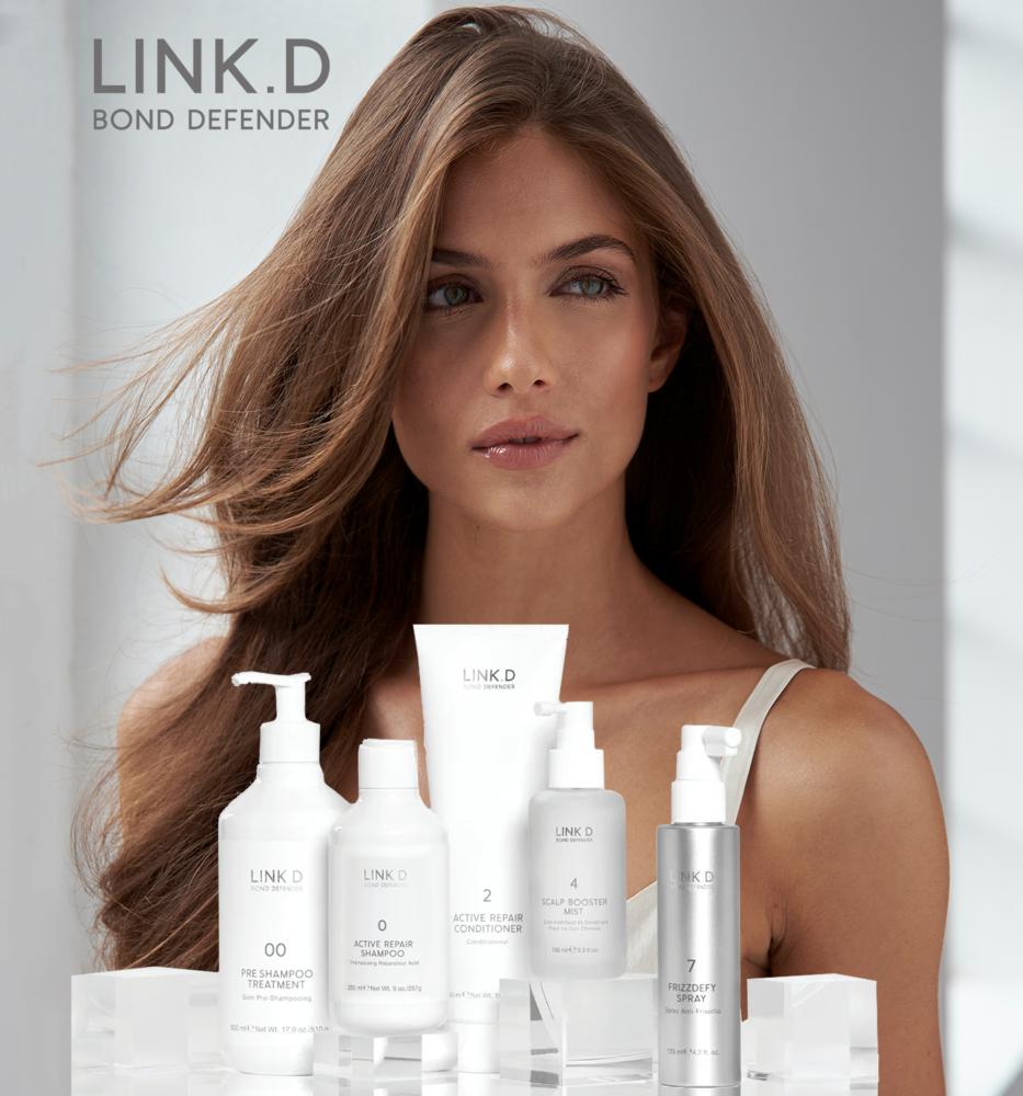 LINK.D profesionalų seminaras
