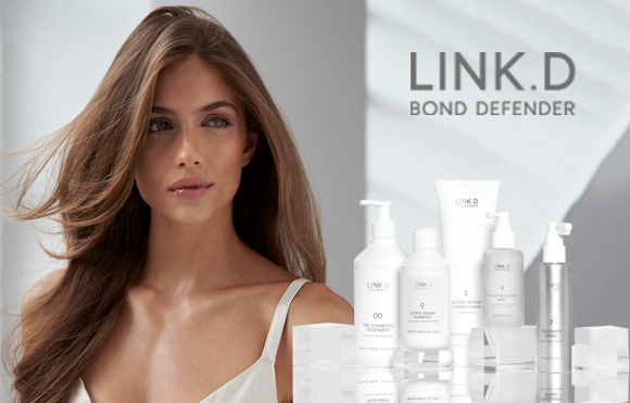 LINK.D profesionalų seminaras