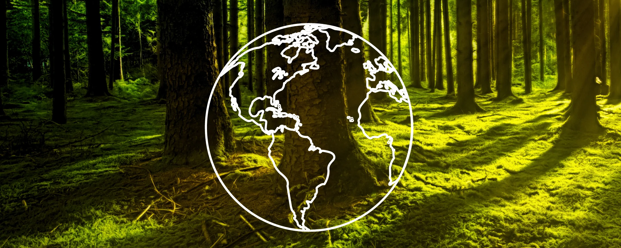 ELGON socialinė atsakomybė